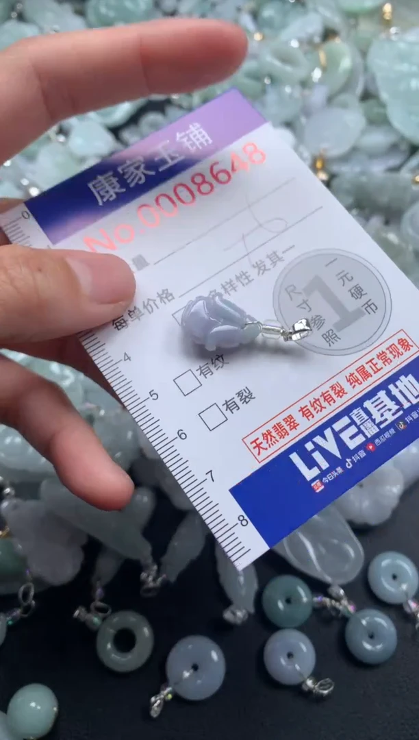 颈饰未镶嵌翡翠8648