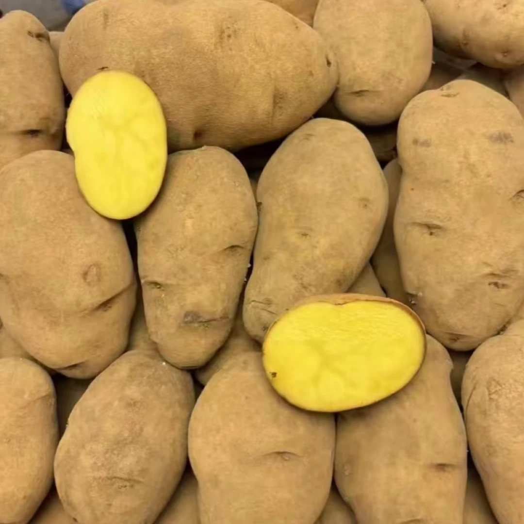 贵州威宁老品种本地黄皮黄心洋芋农家肥自种
