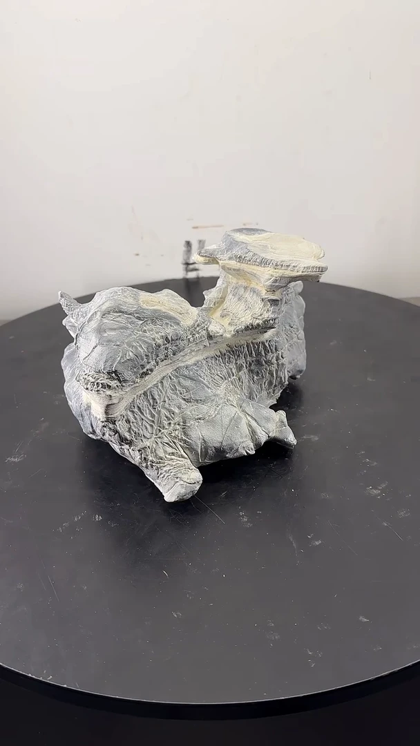 【闪购商品】其他灵璧石天然原石的