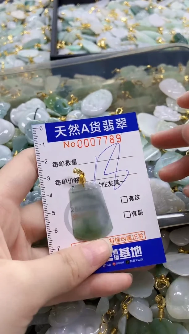 颈饰未镶嵌翡翠纯天然a货翡翠