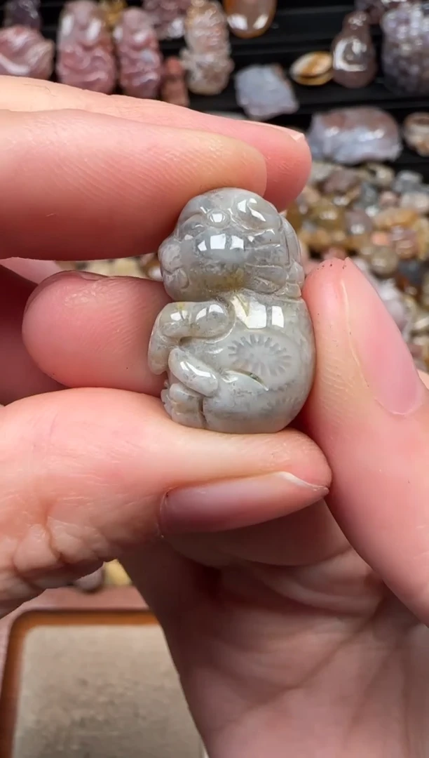 颈饰未镶嵌硅化珊瑚（珊瑚玉）311