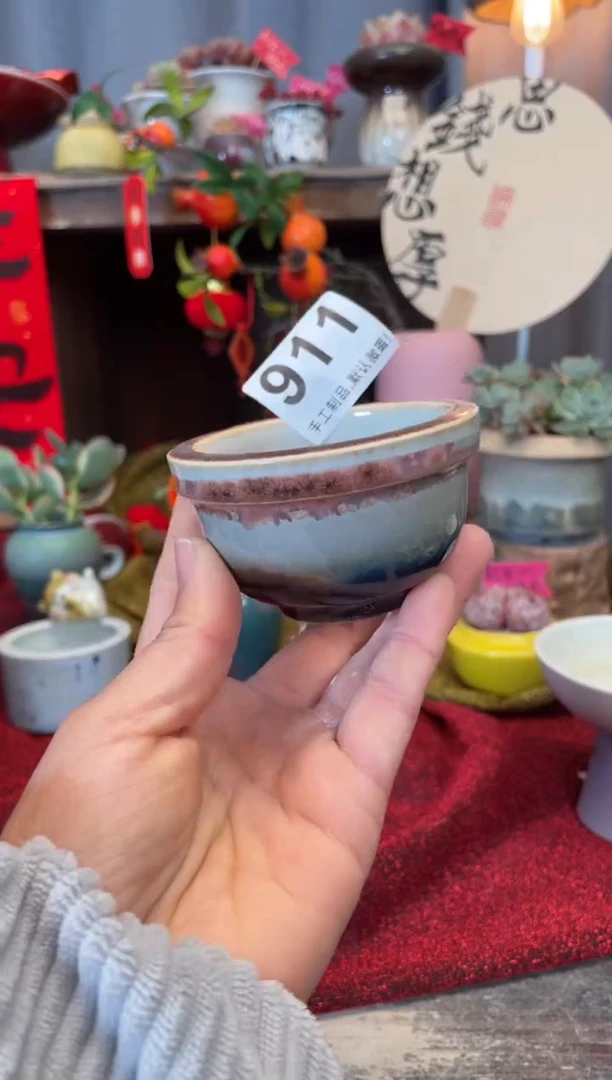 【闪购商品】摆件911知木小芳花盆