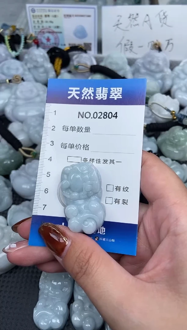 颈饰未镶嵌翡翠纯天然A货翡翠2804