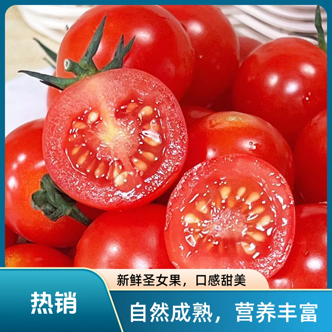 广西净重新鲜圣女果孕妇现摘新鲜水果蔬菜小番茄生吃产地批发酸甜