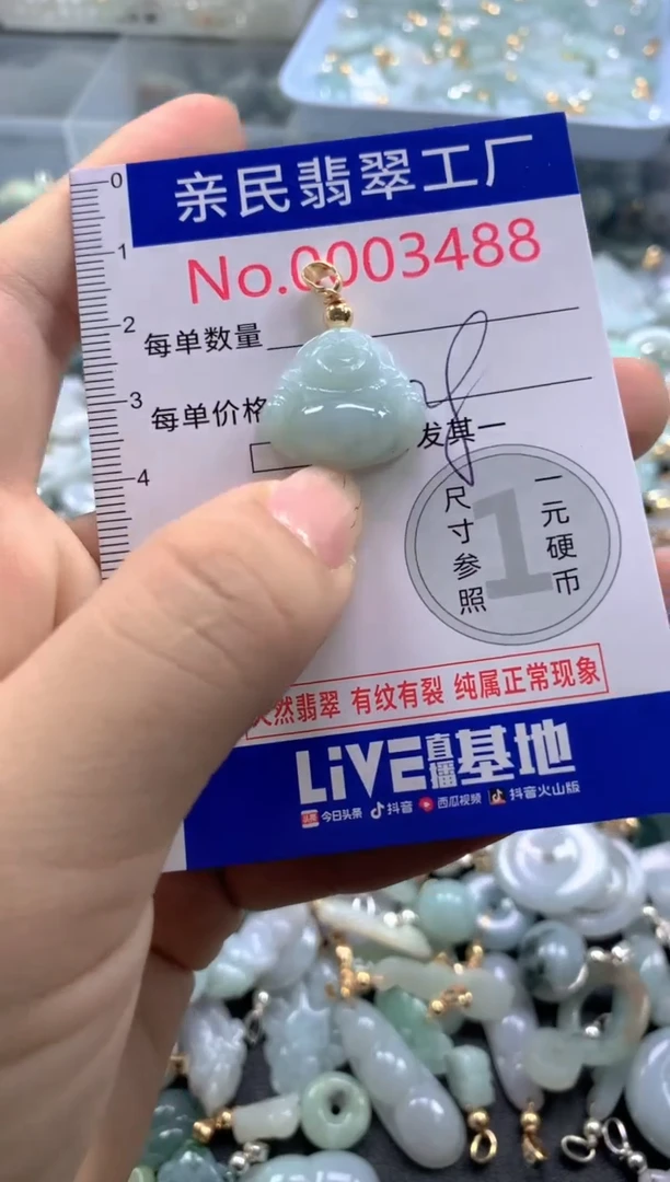 颈饰未镶嵌翡翠3488