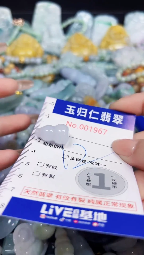 颈饰未镶嵌翡翠1012