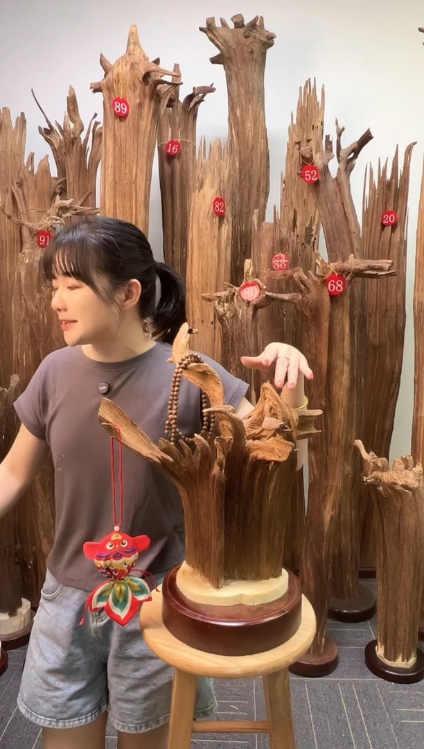 沉香碎屑沉香天然沉香原料熏香料