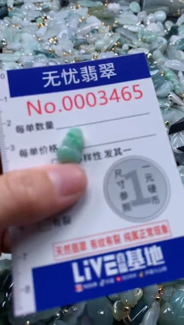 翡翠未镶嵌吊坠(不含链)3465