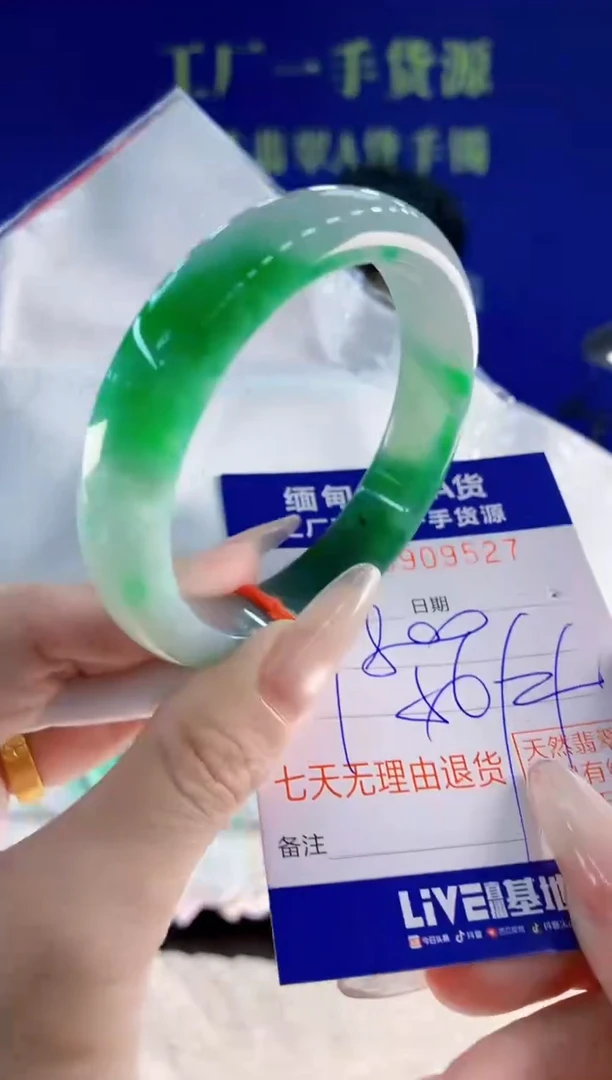 未镶嵌手镯翡翠27