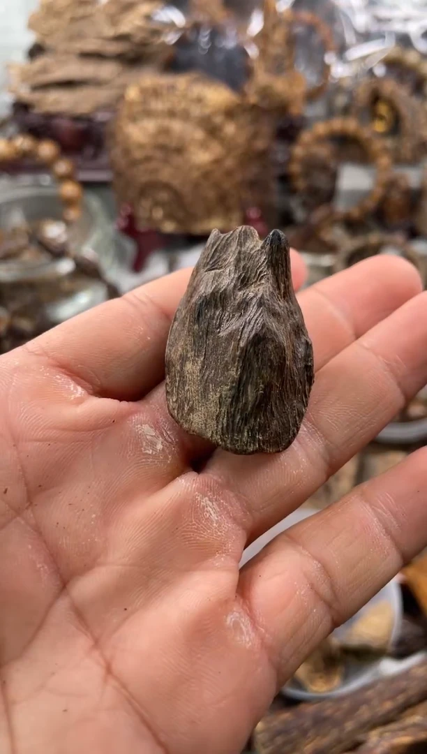 沉香沉香碎屑杨*  沉香  海南