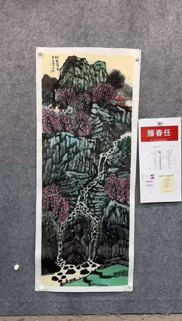 【闪购商品】国画pmw不二轩旗舰店国画TCR4