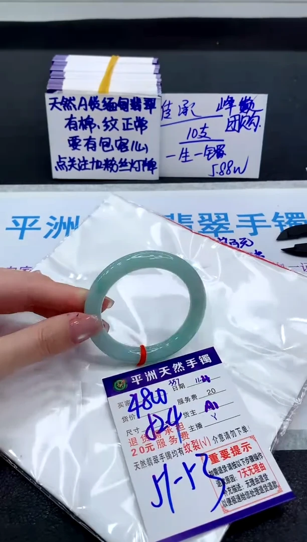 未镶嵌手镯翡翠11111111