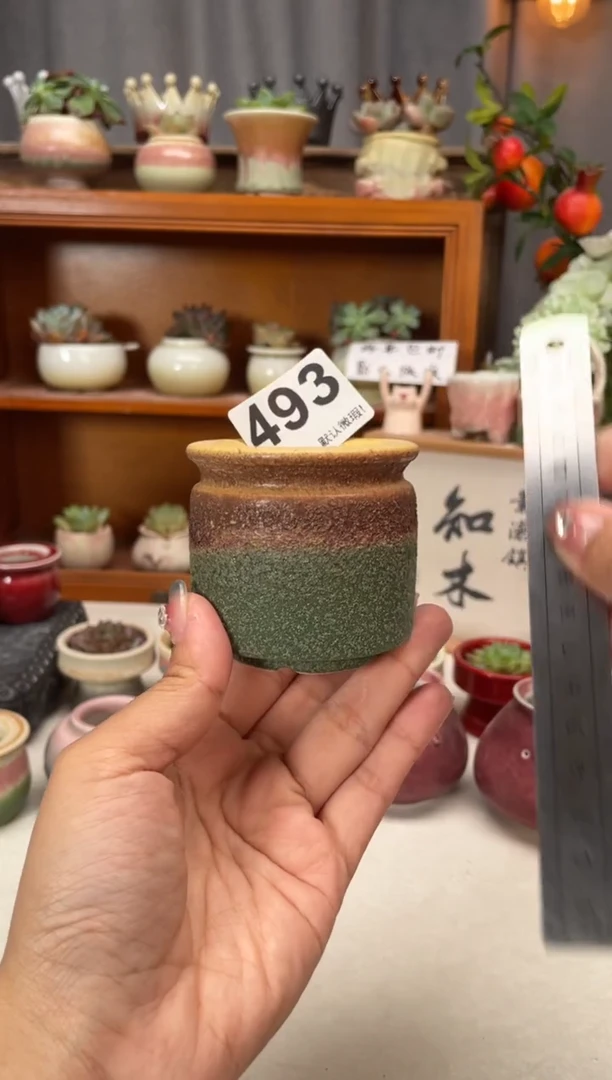 瓷片493知木小芳花盆