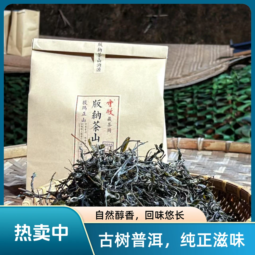 【拔马正山古树散茶】云牧版纳茶山溯源拔马正山晒青茶