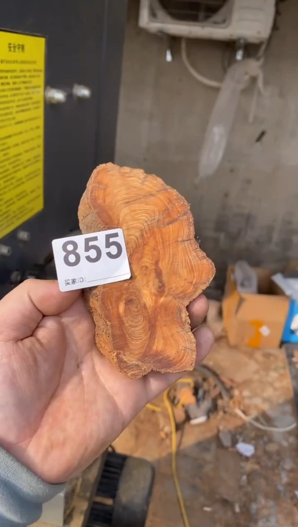 【闪购商品】柏木太行陈化崖柏切片