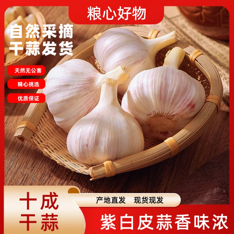 新干蒜河南2025年干大蒜白皮大蒜农家自种蒜香浓郁老品种大蒜