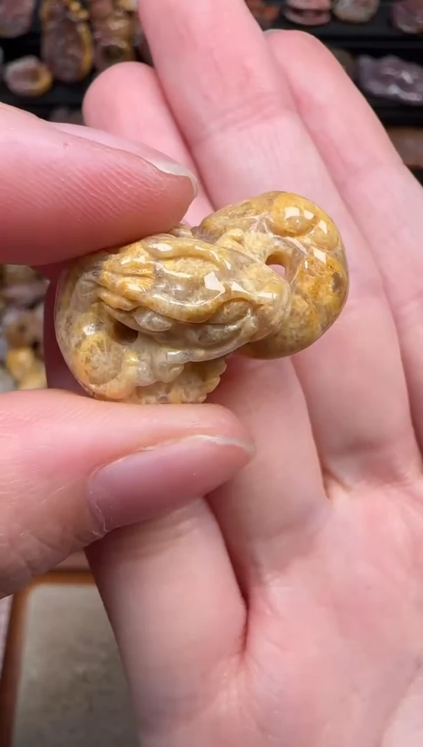 颈饰未镶嵌硅化珊瑚（珊瑚玉）295