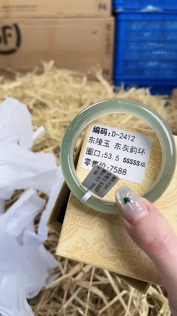 未镶嵌手镯石英质玉D-2412