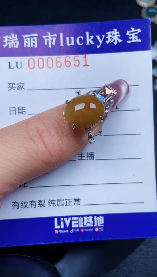 翡翠银S925镶嵌颈饰6651