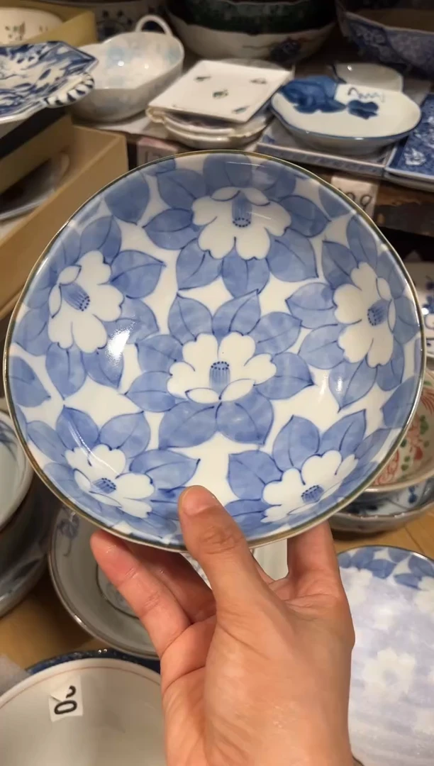 北****皮香岚舍日瓷闪购北海蓝姬