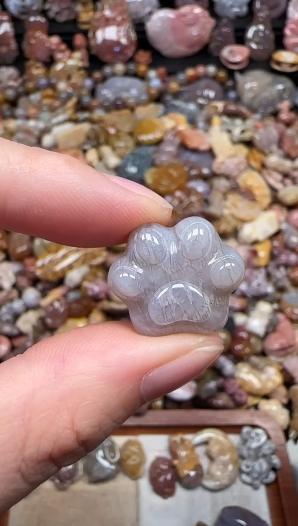 颈饰未镶嵌硅化珊瑚（珊瑚玉）565