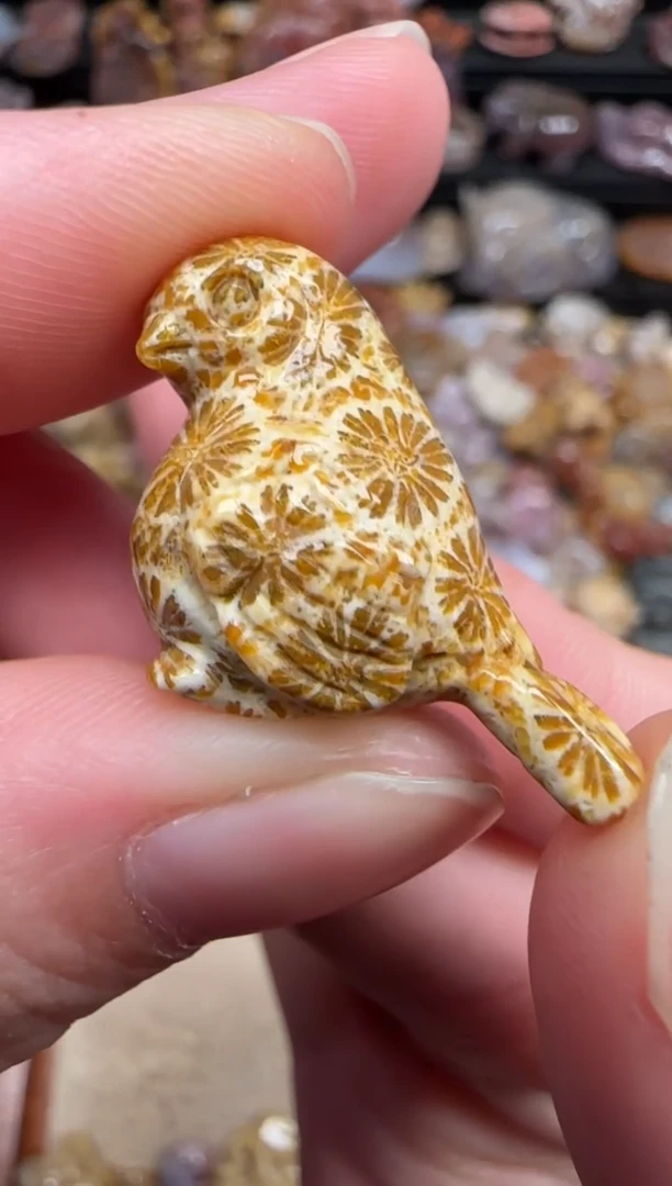 颈饰未镶嵌硅化珊瑚（珊瑚玉）144