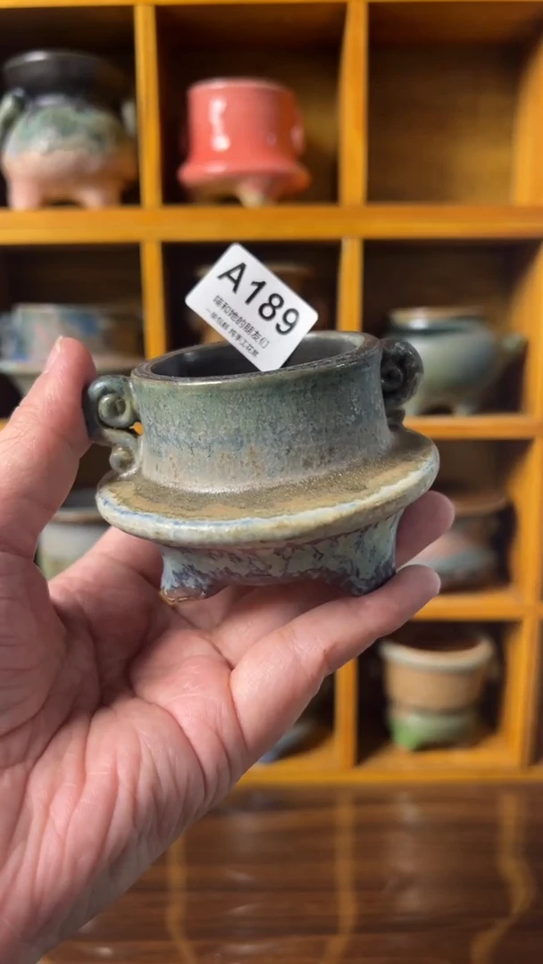 189 内口5【多肉花盆多肉盆】