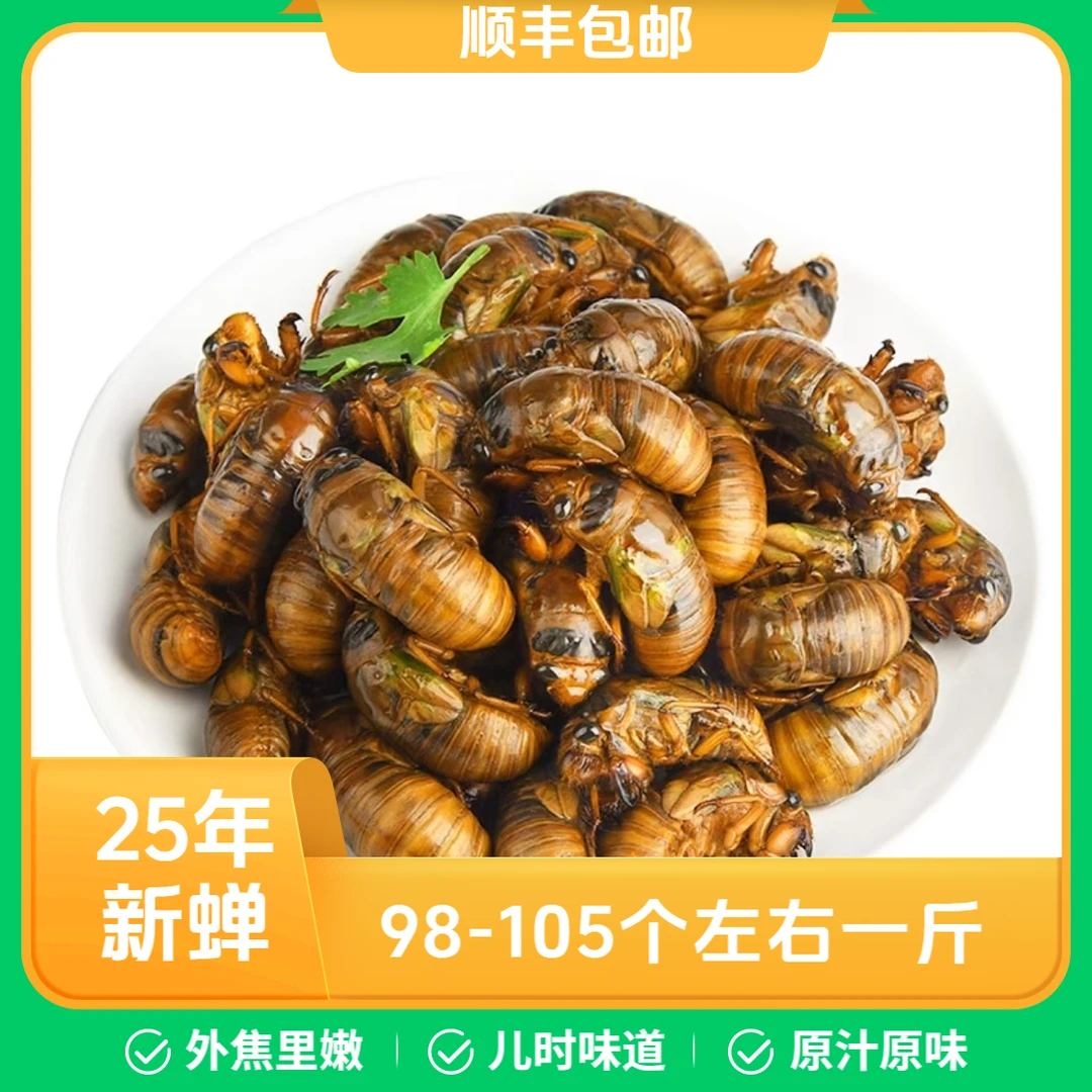 【顺丰包邮】25年大金蝉知了猴爬叉结了龟新蝉唐僧肉知了猴新鲜
