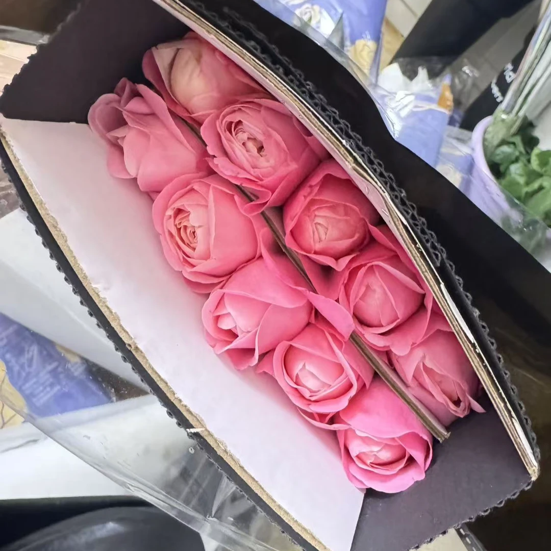 【A50-01】新品稀有单头玫瑰 玖枝花优选基地直发鲜花儿