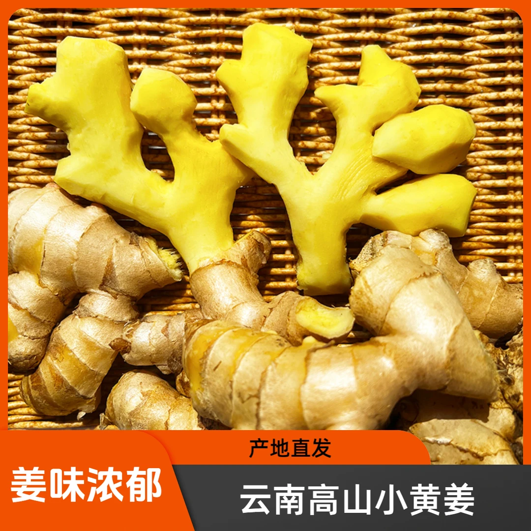 【8斤包邮】云南小黄姜香味浓郁辛辣够味现挖生姜产地直销新鲜老姜