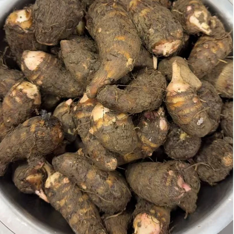 精品崇明香酥芋艿5斤装每天现挖现发新鲜口感