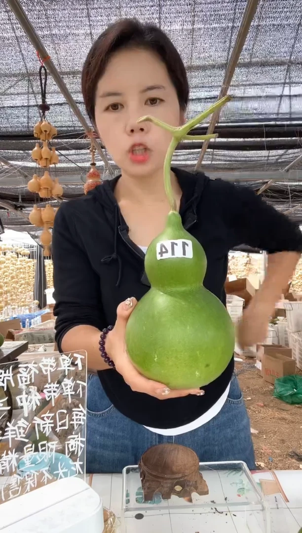 114天然葫芦摆件 一物一拍龙头不保售后