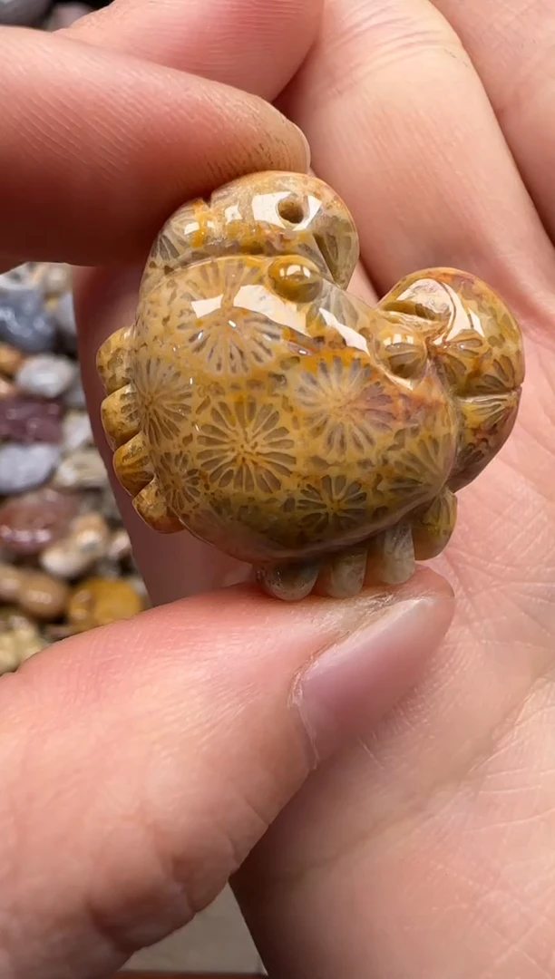 【闪购商品】硅化珊瑚（珊瑚玉）颈饰未镶嵌634