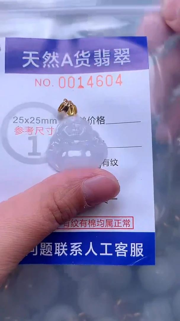 吊坠(赠链)未镶嵌翡翠1