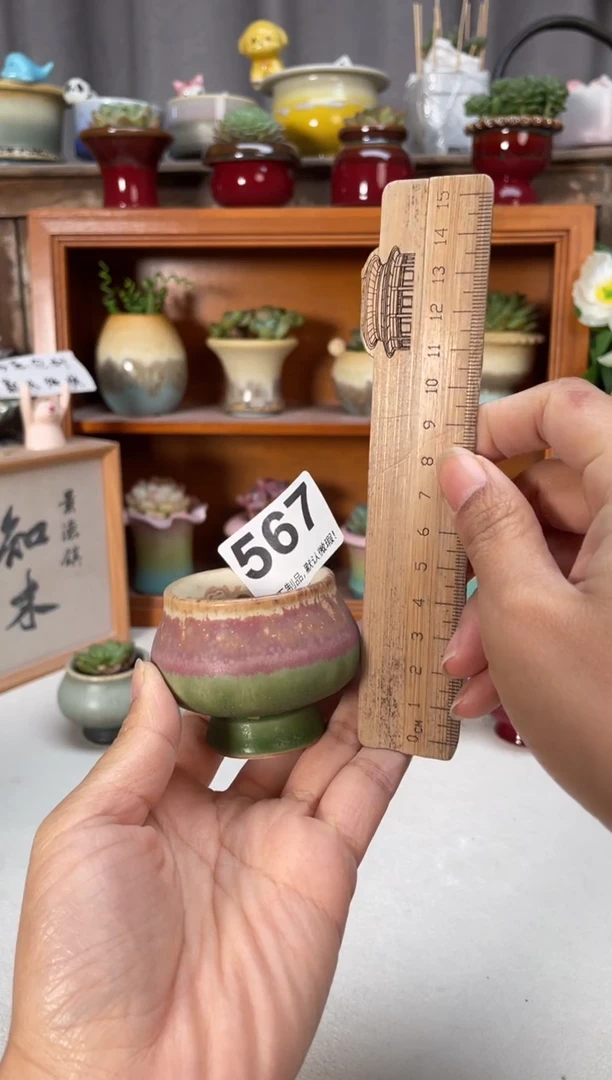 瓷片567小芳直播编号