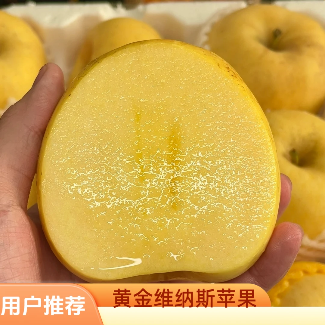 正宗烟台维纳斯苹果新鲜水果甜脆多汁爽口冰糖心新鲜现摘烟台苹果