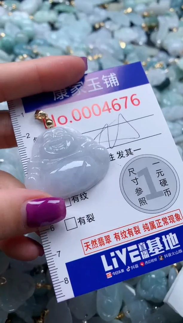 颈饰未镶嵌翡翠4676