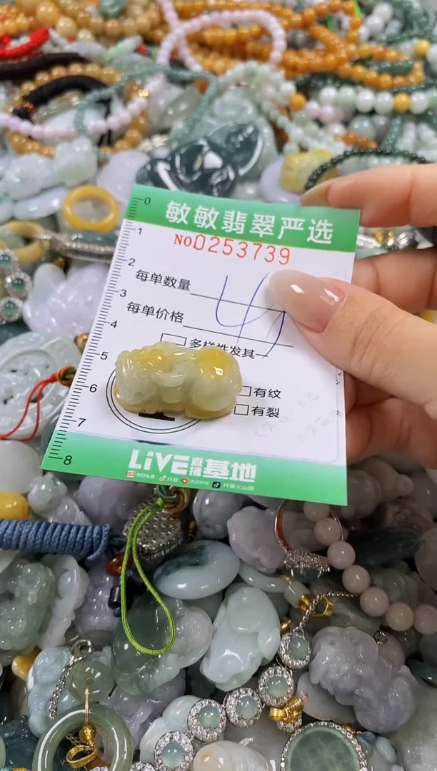 翡翠未镶嵌颈饰闪购0253739
