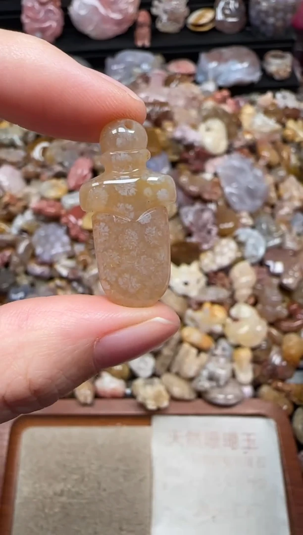 颈饰未镶嵌硅化珊瑚（珊瑚玉）423