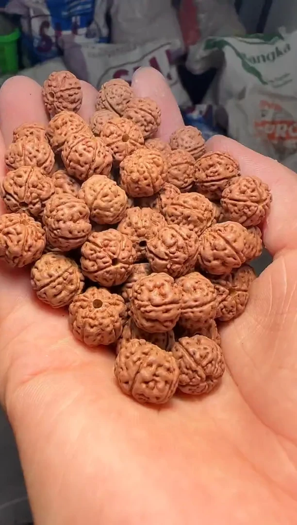 手串金刚菩提非全品老树王散籽12-13mm一份一百颗