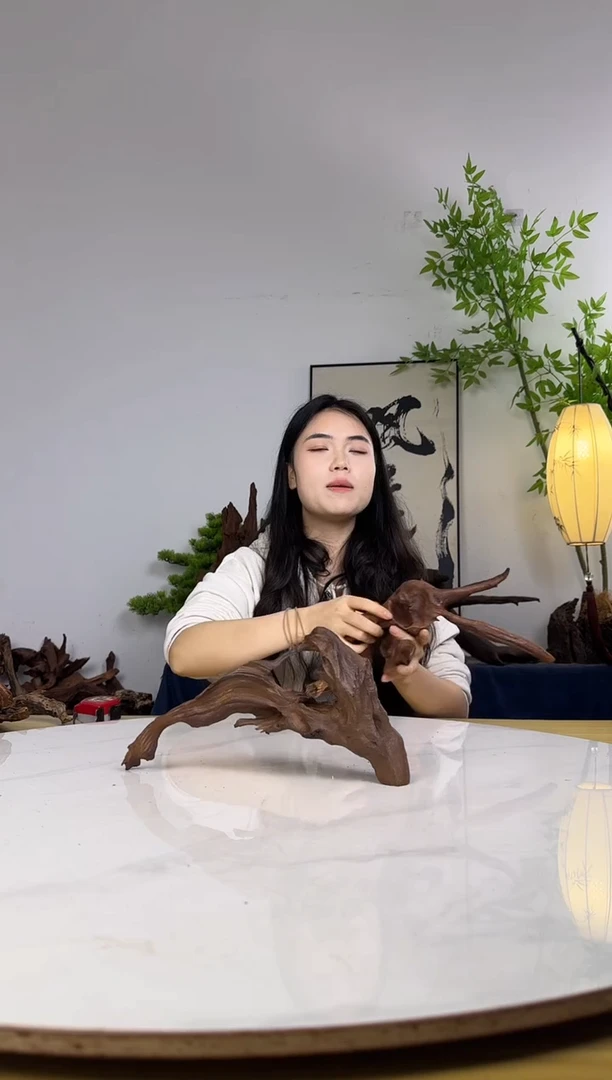南**何拍沉木定向链接编号115