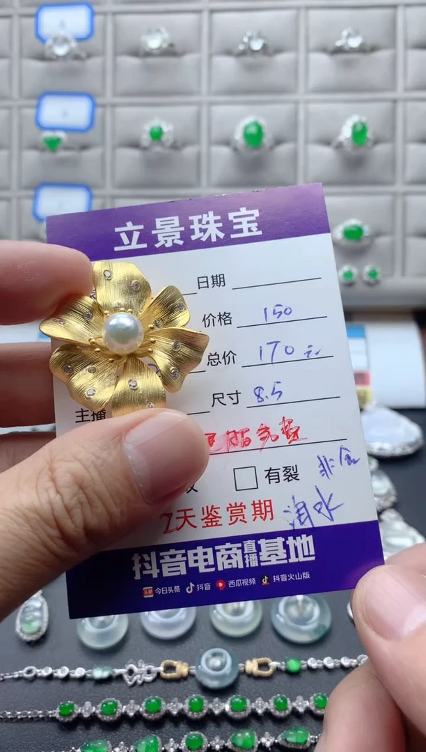 颈饰未镶嵌海水珍珠胸针吊坠两用
