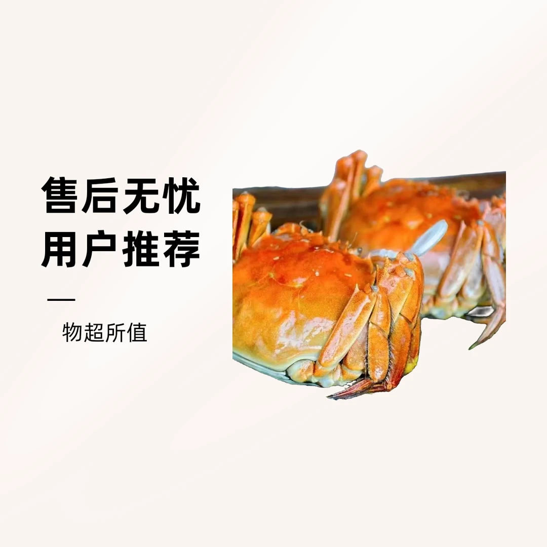 清蒸六月黄螃蟹1-1.3两10只