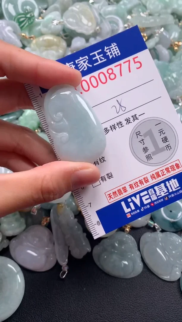 颈饰未镶嵌翡翠8775