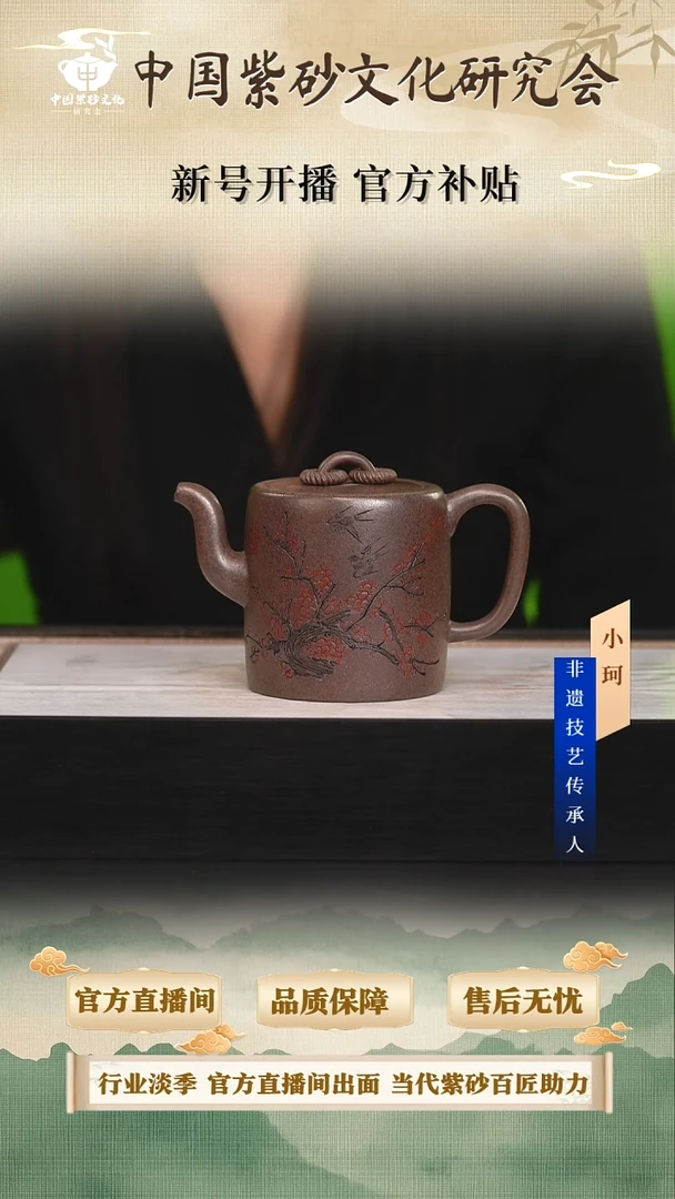 茶壶紫砂陶茶文化范       明红砂300cc左右