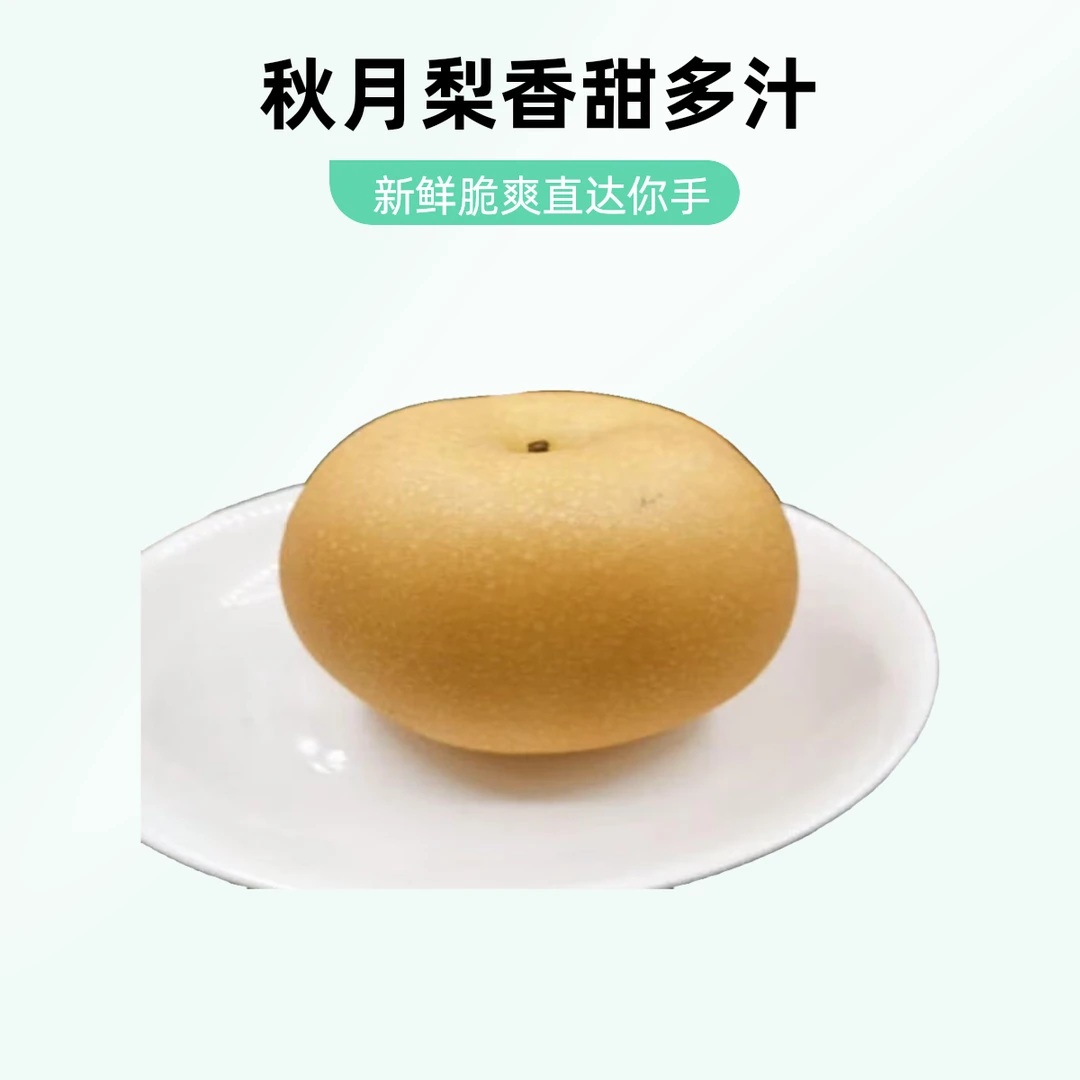 送货上门山东正宗秋月梨新鲜当季现摘脆甜多汁水果山东省