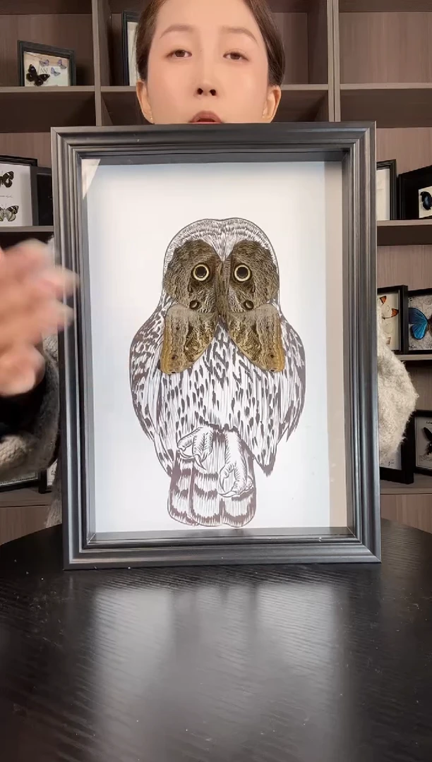实木竖款猫头鹰环蝶（蝴蝶装饰画A4框）