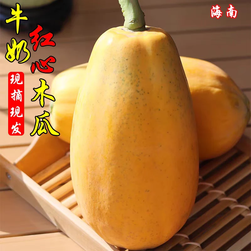 海南空运树熟木瓜/牛奶木瓜3.8斤礼盒