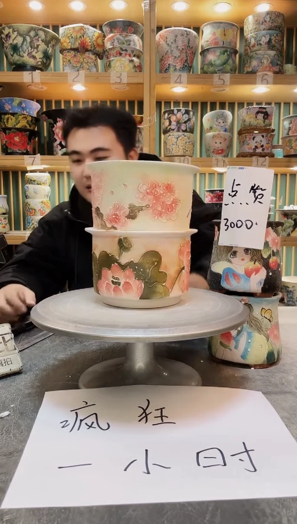瓷片默认微瑕一物一拍1118-111-2个