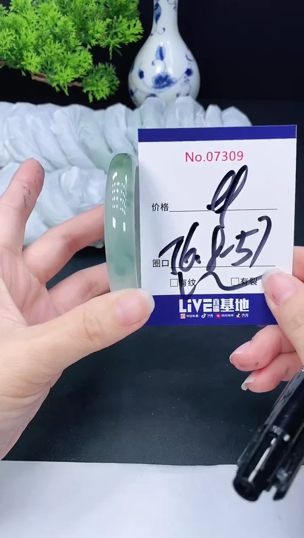 未镶嵌手镯翡翠7309